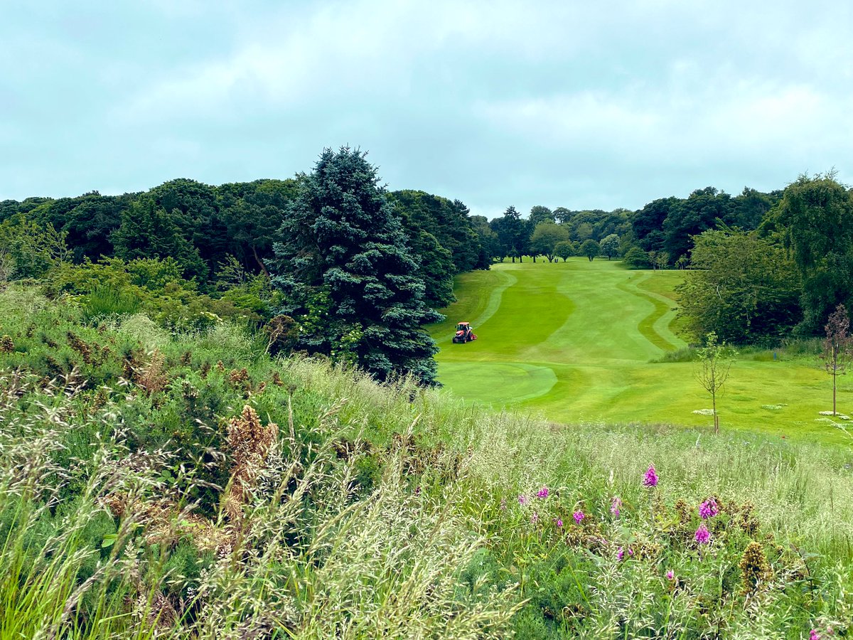 Mortonhall Golf Club tweet media