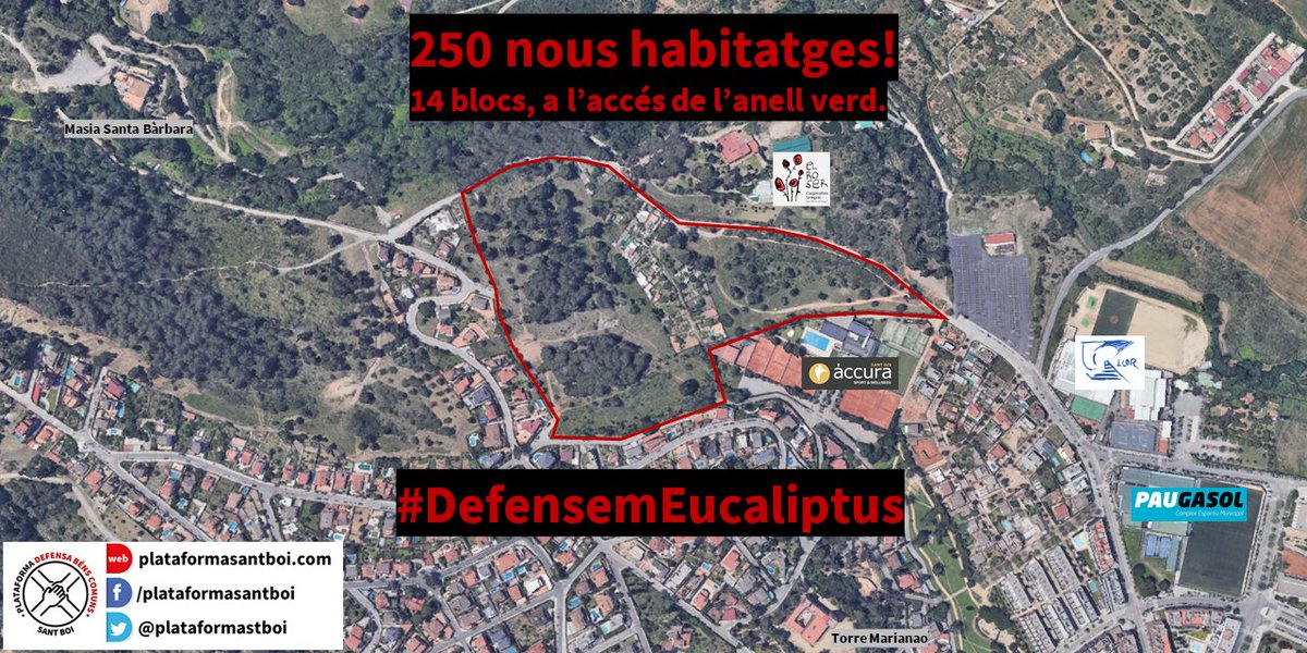Plataforma Defensa Béns Comuns Sant Boi (@plataformastboi) on Twitter photo 📢Avui portem al Ple de l'<a href="/AjSantBoi/">Ajuntament Sant Boi</a>, amb el suport de <a href="/esquerrasantboi/">Esquerra Sant Boi</a> i <a href="/podemstboi/">Podem Sant Boi</a> <a href="/EUStBoi/">Esquerra Unida Sant Boi</a>, la moció per PROTEGIR L'ENTORN DE L'EUCALIPTUS! un dels accessos a l'anell verd de #SantBoi, un bosc de 100milm2 amb gran valor mediambiental, on trobem una pineda d'edat avançada. 1/2 📢Avui portem al Ple de l'<a href="/AjSantBoi/">Ajuntament Sant Boi</a>, amb el suport de <a href="/esquerrasantboi/">Esquerra Sant Boi</a> i <a href="/podemstboi/">Podem Sant Boi</a> <a href="/EUStBoi/">Esquerra Unida Sant Boi</a>, la moció per PROTEGIR L'ENTORN DE L'EUCALIPTUS! un dels accessos a l'anell verd de #SantBoi, un bosc de 100milm2 amb gran valor mediambiental, on trobem una pineda d'edat avançada. 1/2