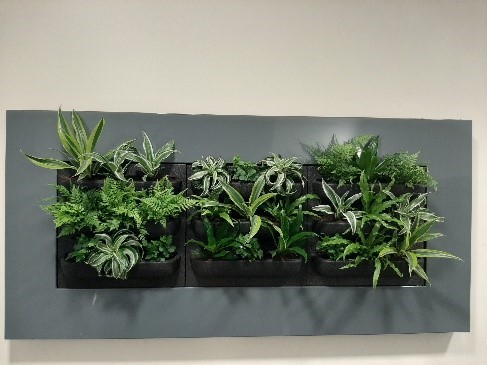 Did you know that plants can have a lot of benefits for your #officespace? 

- Improve physical wellbeing 💪
- Increase focus and creativity 🎨
- Relieve stress 💆‍‍

Our reception at 1 East Parade isn’t just pretty, it’s functional too! 

Find out more: 1eastparadeleeds.co.uk