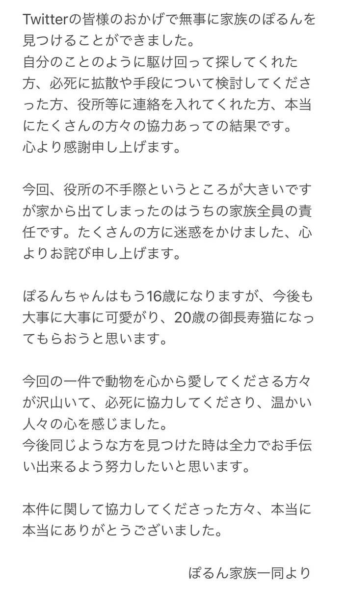 Twitterで愛猫が見つかる！奇跡としか言いようがない
