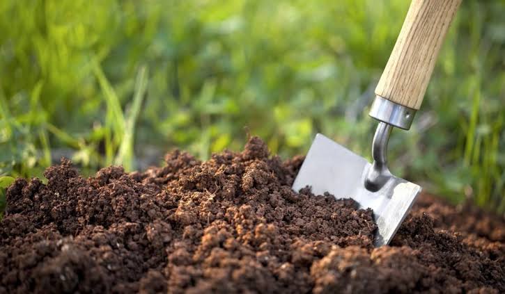 Toprak, Sevdiklerimizi Aldığı İçin mi Böyle Güzel Kokar?