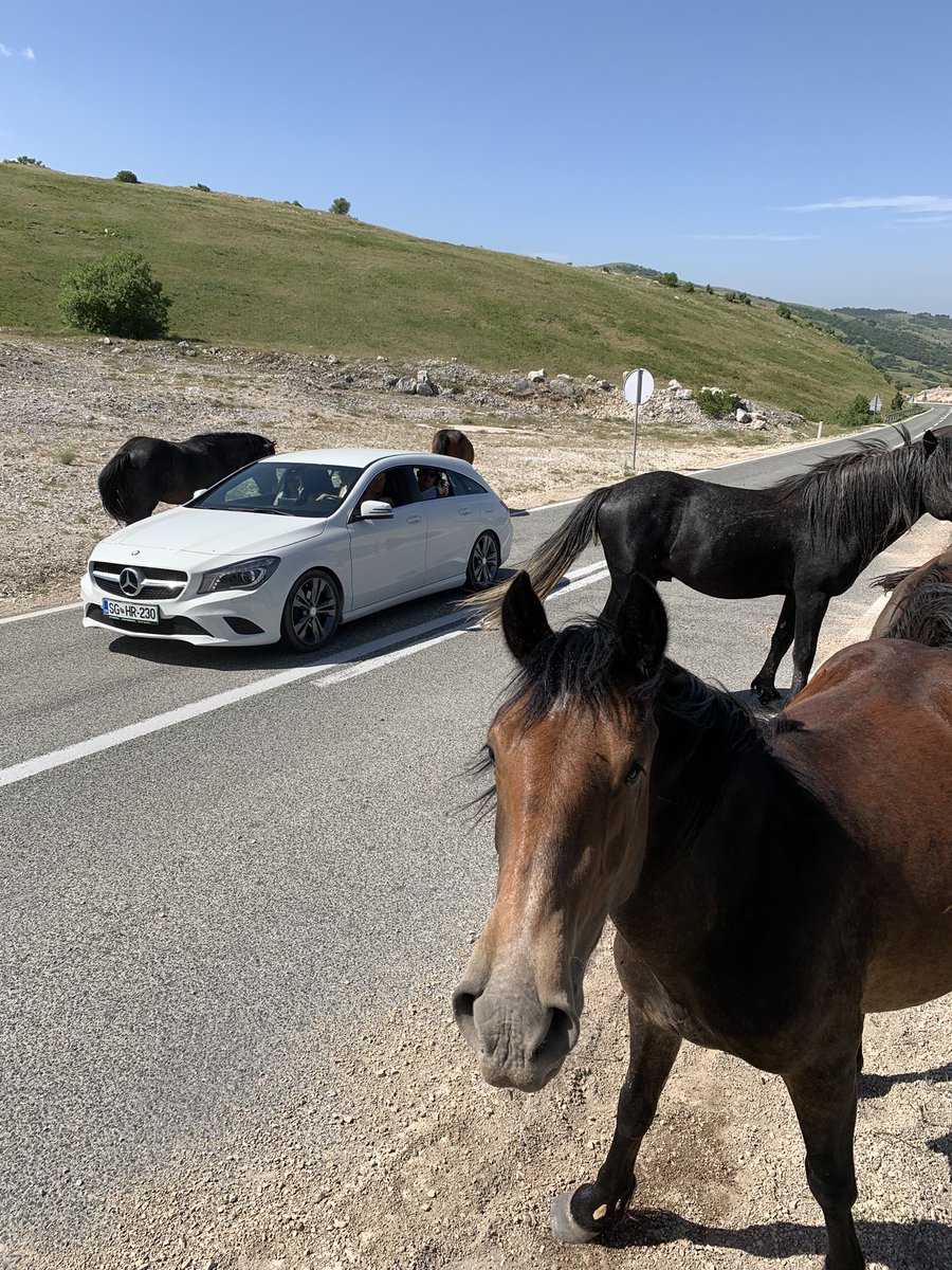 Nikolaus Josef Neumaier tweet media