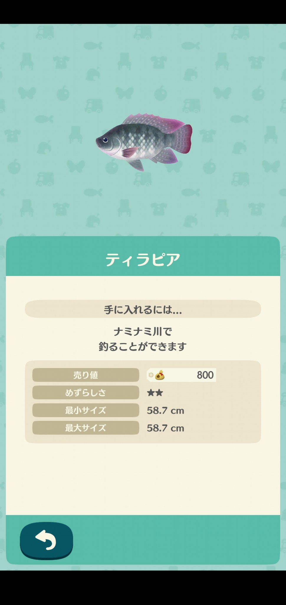 Newもりとwithツイッター局 どうぶつの森ポケットキャンプ ティラピア なんでも食べる食いしんぼう ティラピアは あつまれ どうぶつの森 にも登場するアフリカ原産の淡水魚で 藻などの植物や昆虫や魚の死骸もなんでも食べる雑食性のうえ 40度くらい