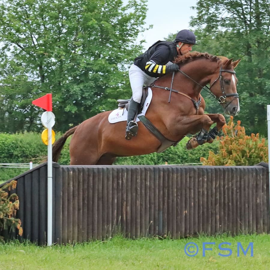 Sam Griffiths (@griffiths_sam) on Twitter photo Auburn Turvey continues to impress us. #younghorses
Thanks <a href="/MaxwellFiona/">Fiona Maxwell</a> for the photos
<a href="/SaracenFeeds/">Saracen Horse Feeds</a> Auburn Turvey continues to impress us. #younghorses
Thanks <a href="/MaxwellFiona/">Fiona Maxwell</a> for the photos
<a href="/SaracenFeeds/">Saracen Horse Feeds</a>