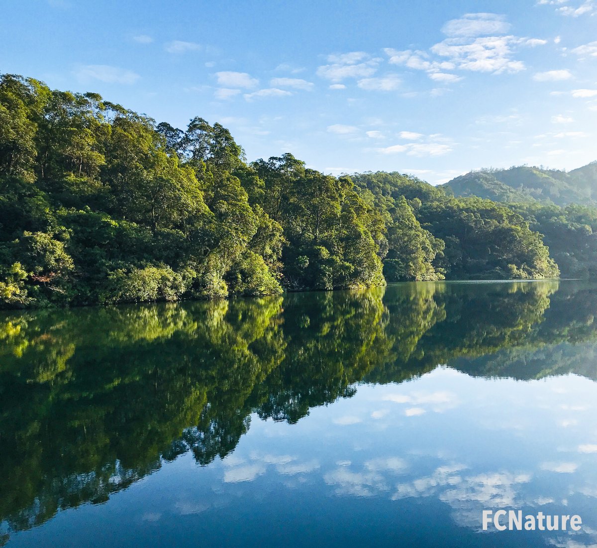 FCNature's tweet photo. Beyond the “Dragon’s tail”, there’s route reaching “Old Man Mountain” via Chi Ma Wan Correctional Institutional.
#老人山 #龍尾 #十塱水塘 #mirror #hikinghk
#hiking #trekking #trailing #hikingday #green #nature #explore #weekend #outdooractivities #hikinghk #FCNature #hongkong #hk https://t.co/0fHfmoTqYy