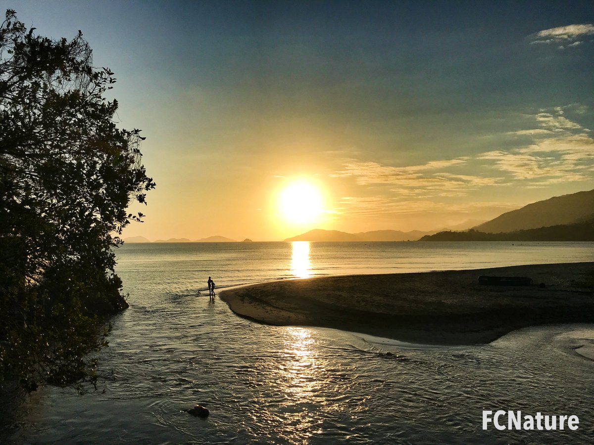 FCNature's tweet photo. #老人山 #龍尾 #十塱水塘 #mirror
#hiking #trekking #trailing #green #nature #outdooractivities #hikinghk #hikingadventures #hikingday #hikingtrail #hikingculture #sports
#FCNature #FCNaturesports #natureinthecity #explore #photo #holiday #weekend #bestoftheday #hongkong #hk #香港 https://t.co/96BbQV3Lfm