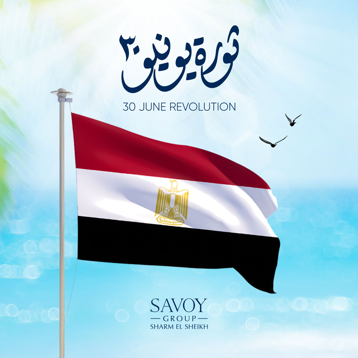SavoyGroupSharm's tweet image. ساڤوي جروب تهنئكم بذكري ثورة ٣٠ يونيو. كل عام وانتم بخير  🇪🇬

On the anniversary day of 30th of June revolution, we wish you a happy and peaceful holiday. 🇪🇬
#SavoyGroupSharm
#30JuneRevolution
#تحيا_مصر
#الجمهوريه_الجديده