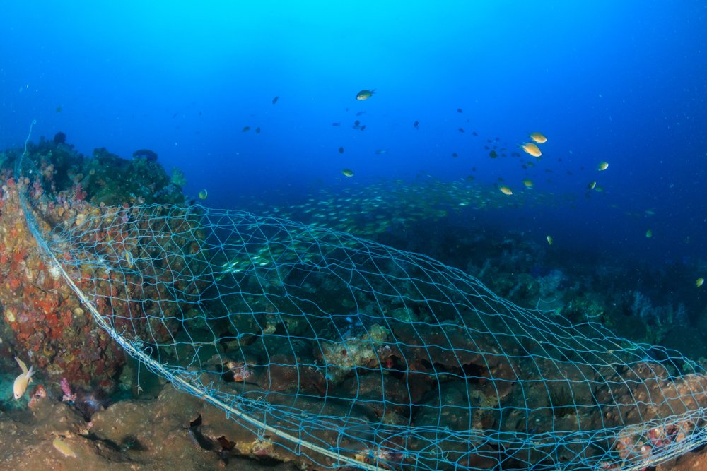cinea_eu's tweet photo. #AQUALIT, #BlueNet, #marGnet, #NetTag and #OCEANETS. The #EMFF projects on #seabased sources of #MarineLitter and #ALDFG have now concluded.
The result? Two words: innovative solutions.
Congratulations and thanks to the teams.
#BlueEonomy #EMFAF #EU #SustainableFishing https://t.co/jAQRieMY8i