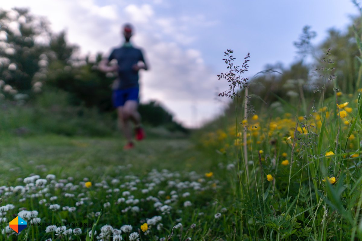 Hendrik Morkel is no longer tweeting tweet media
