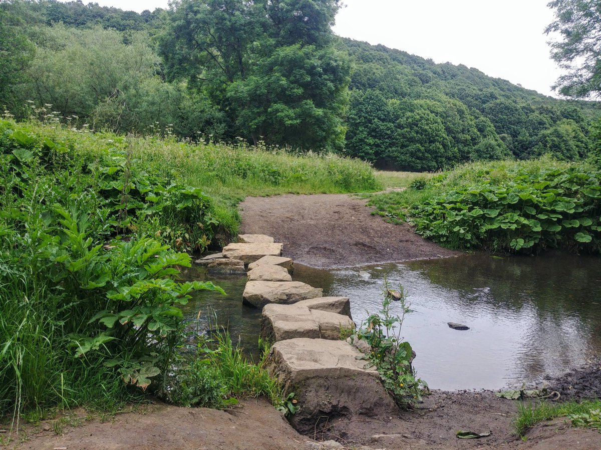 RunningSeeds's tweet image. 2) Farnley Hall Park - 4 miles

There's been a building here for almost 1,000 years!
thoresby.org.uk/content/townsh…

#walkitrideit #walkshire