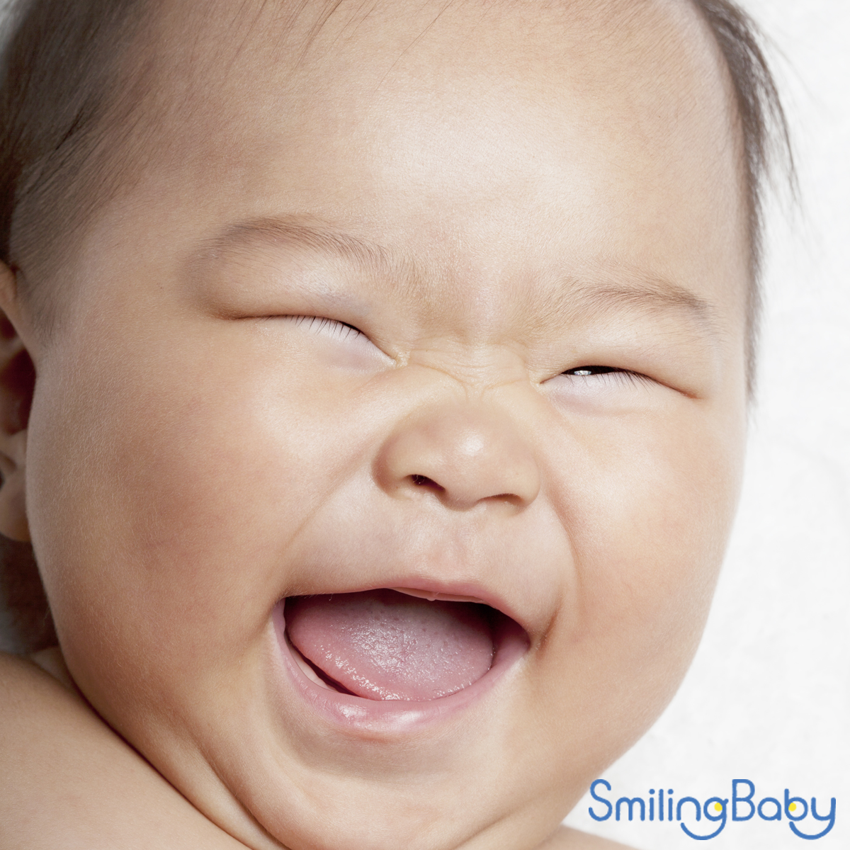 堀口マモル 4500人の赤ちゃんのピュアーな笑顔を撮影した写真家 Mamoruhoriguchi Twitter