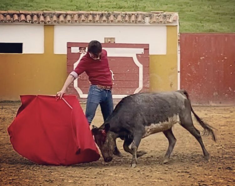 Campuzano4Tomas's tweet photo. El matador de toros colombiano Luis Miguel CASTRILLON de tentadero en la ganadería VISTAHERMOSA, realizó el toreo fundamental de pureza y poderío...
Anoten este nombre CASTRILLON !!! https://t.co/e2lHJIGOeY