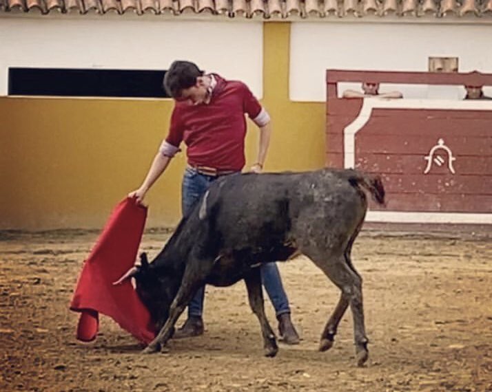 Campuzano4Tomas's tweet photo. El matador de toros colombiano Luis Miguel CASTRILLON de tentadero en la ganadería VISTAHERMOSA, realizó el toreo fundamental de pureza y poderío...
Anoten este nombre CASTRILLON !!! https://t.co/e2lHJIGOeY