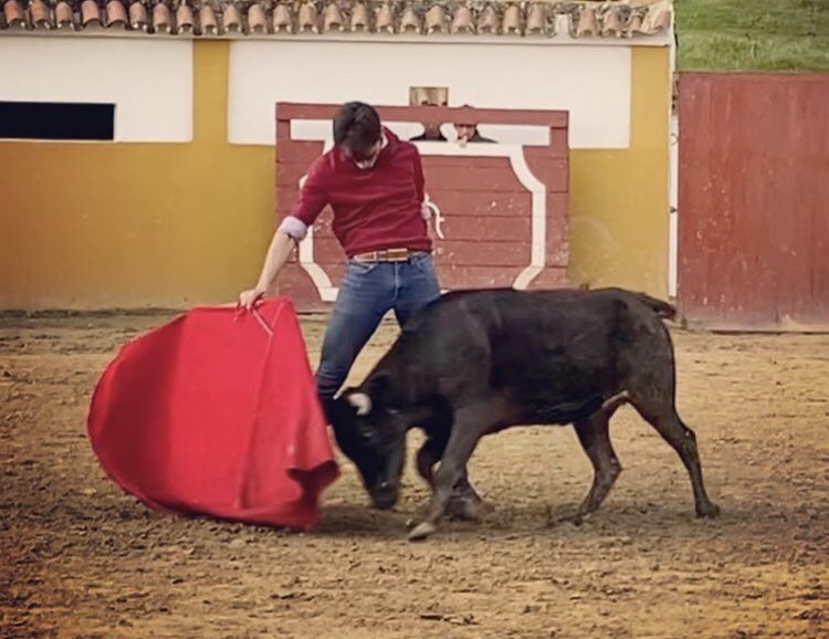 Campuzano4Tomas's tweet photo. El matador de toros colombiano Luis Miguel CASTRILLON de tentadero en la ganadería VISTAHERMOSA, realizó el toreo fundamental de pureza y poderío...
Anoten este nombre CASTRILLON !!! https://t.co/e2lHJIGOeY