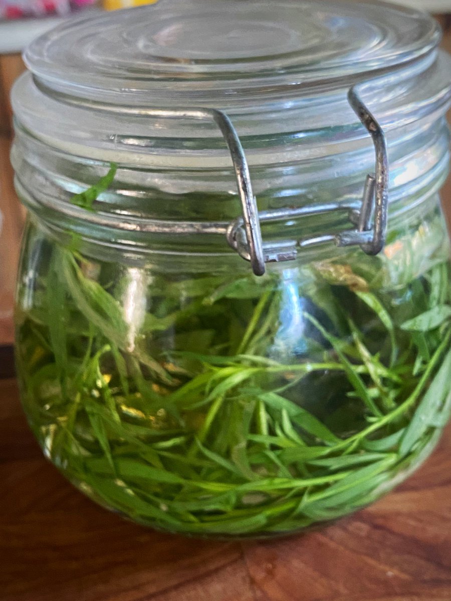 Eggs Royale for breakfast. Homemade hollandaise using my homemade tarragon vinegar made with my homegrown tarragon… and the salmon has to be <a href="/brownandforrest/">Brown and Forrest</a> smoked salmon! #eggsroyale #mckinleyskitchen #delicious #tasty