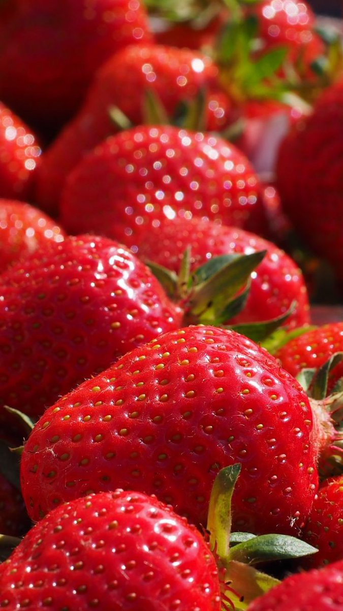 𝐜𝐚𝐭𝐜𝐡𝐢 tweet media