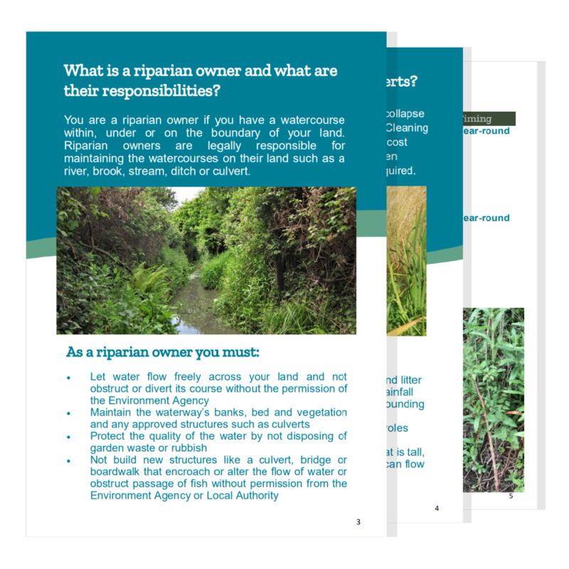 We've created a short guide to show riparian owners* how to look after ditches on their land in an environmentally friendly way.

*Those with a watercourse within, under or on the boundary of their land.

This guide is free to download at: mwhg.org.uk/guides