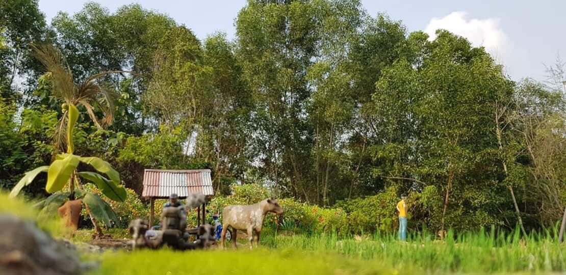 IsskndarAriffin's tweet photo. Keindahan sawah padi dalam bentuk art miniature..

Credit: Abam Jeff https://t.co/HyfEfQr4xv