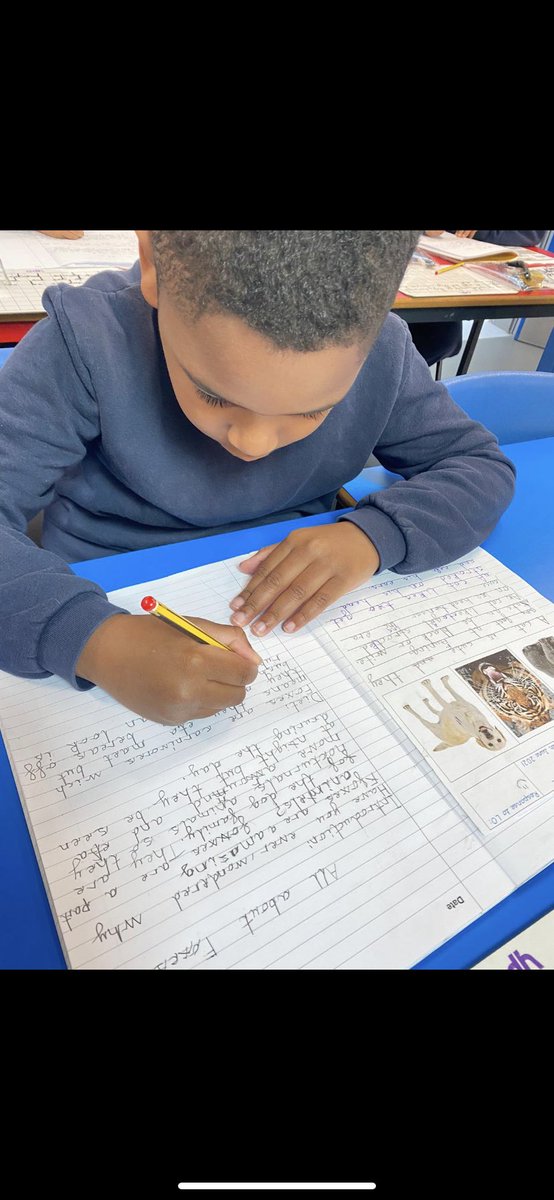 dmn_ks1's tweet photo. Year 2 Ghana hard at work writing Non-fiction reports. Look at their beautiful handwriting! @dixonsmnp #achievement https://t.co/iqWuE6VpIw