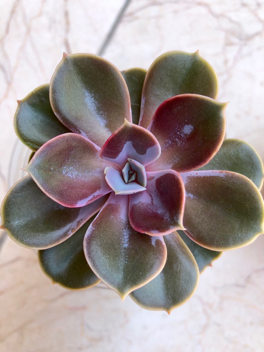 Kendisi bir yaşında 🤩
İnsanlık için küçük benim için büyük bi adım 🕺