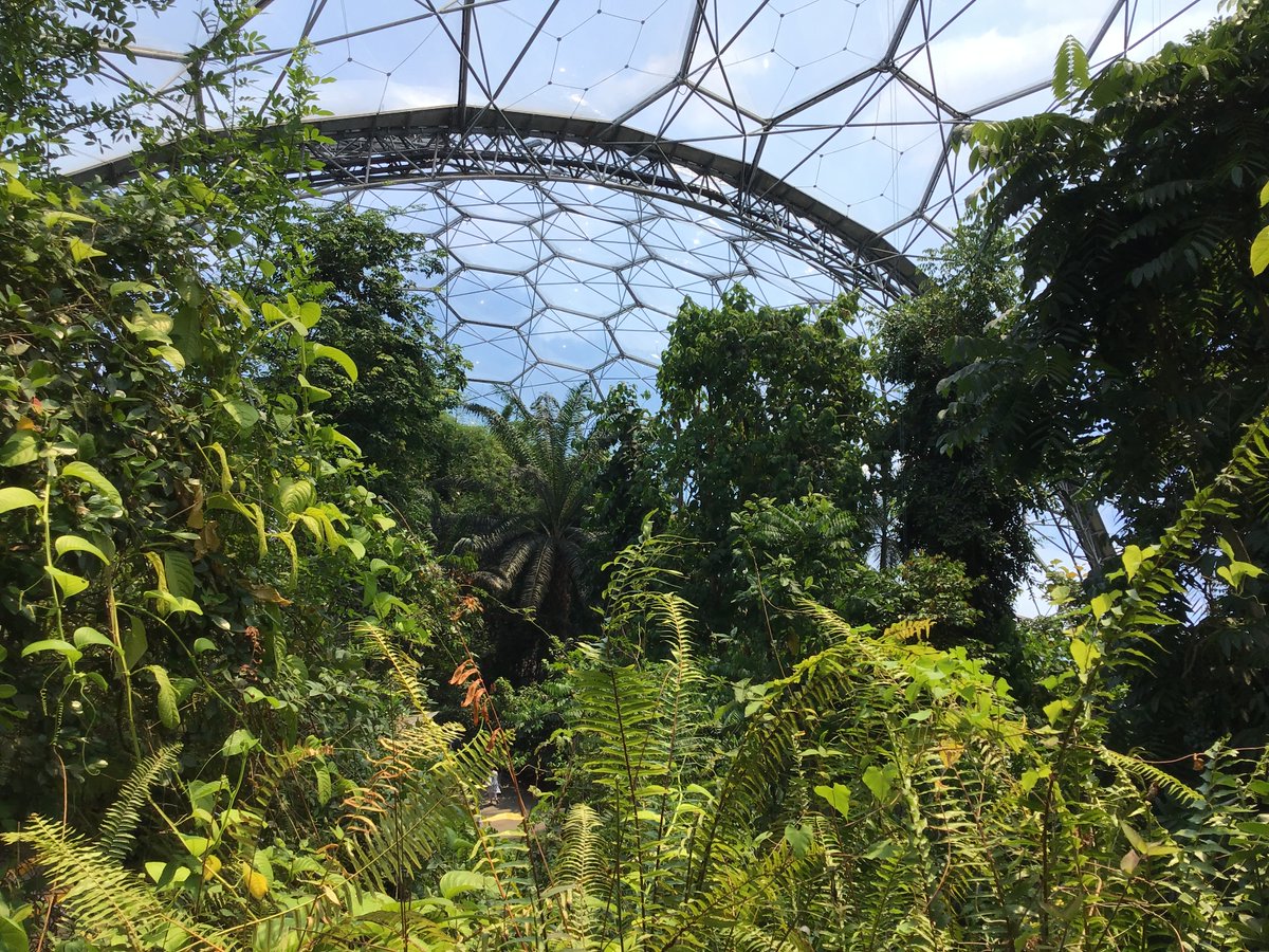 We enjoyed our day exploring the rainforest <a href="/edenproject/">Eden Project</a>