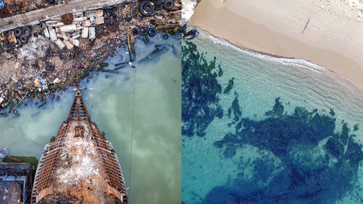 ‘Nature is being degraded at a rate that is unprecedented in human history. Losing all this fabric of life is threatening our own life on Earth’

 —Anne Larigauderie, <a href="/IPBES/">ipbes</a> Exec. Secretary, in Breaking Boundaries feat. David Attenborough &amp; @Jrockstrom

@OurPlanet on @Netflix