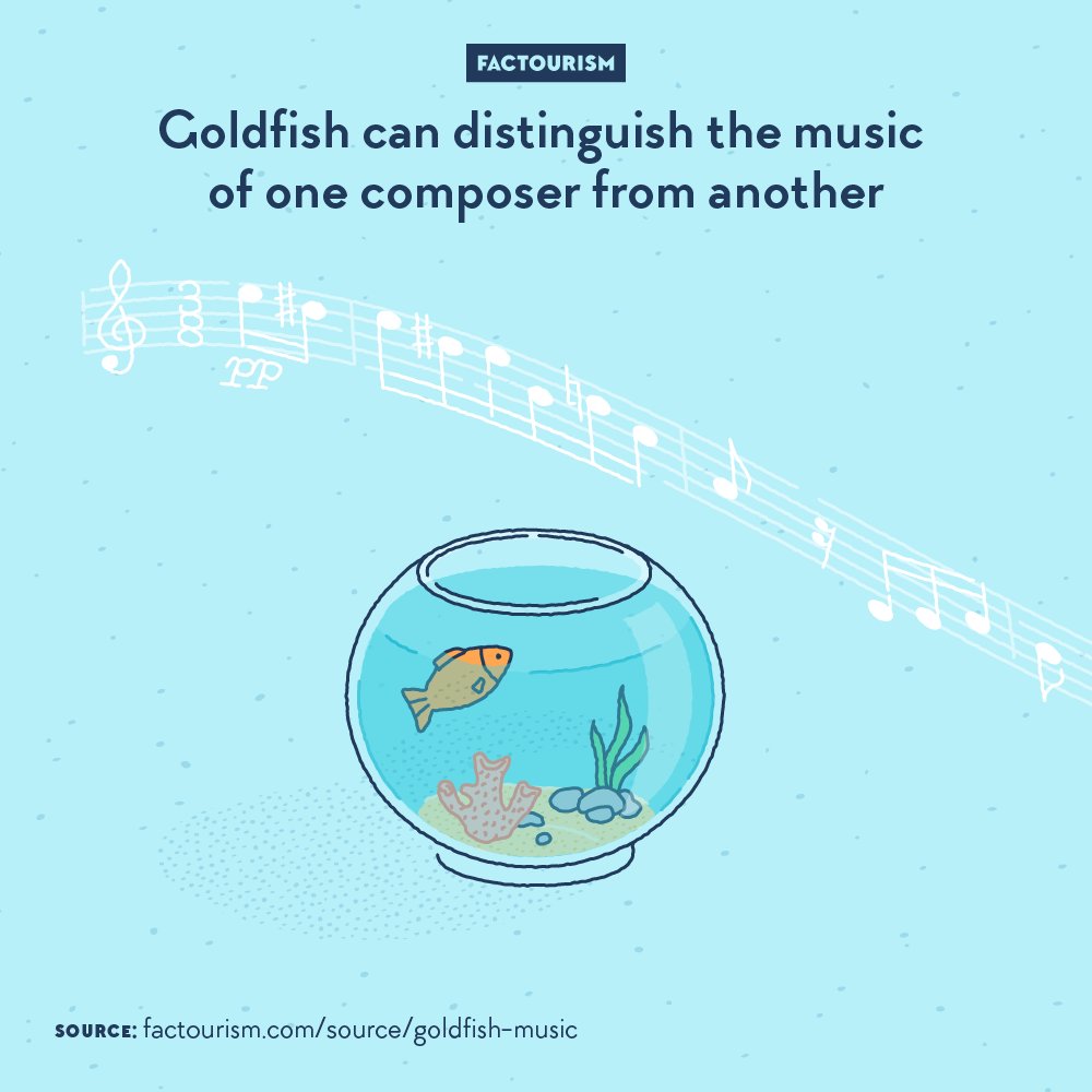 Factourism tweet media