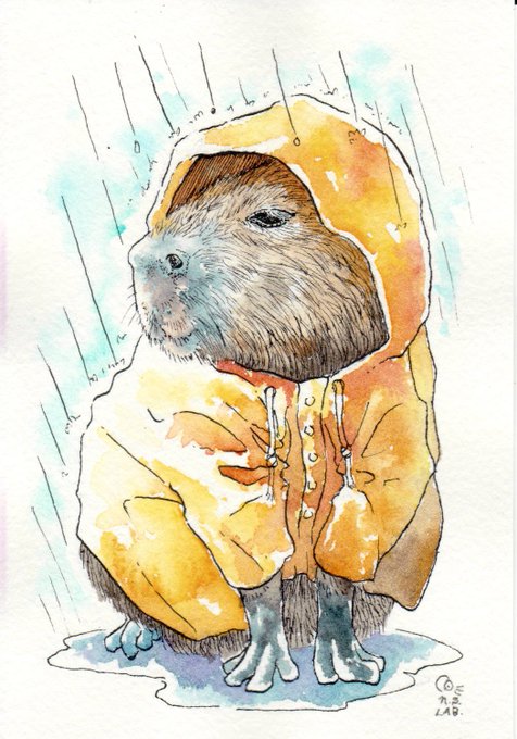 雨の日。
カピバラは、お散歩に出かけました。

 #水彩  #カピバラ 