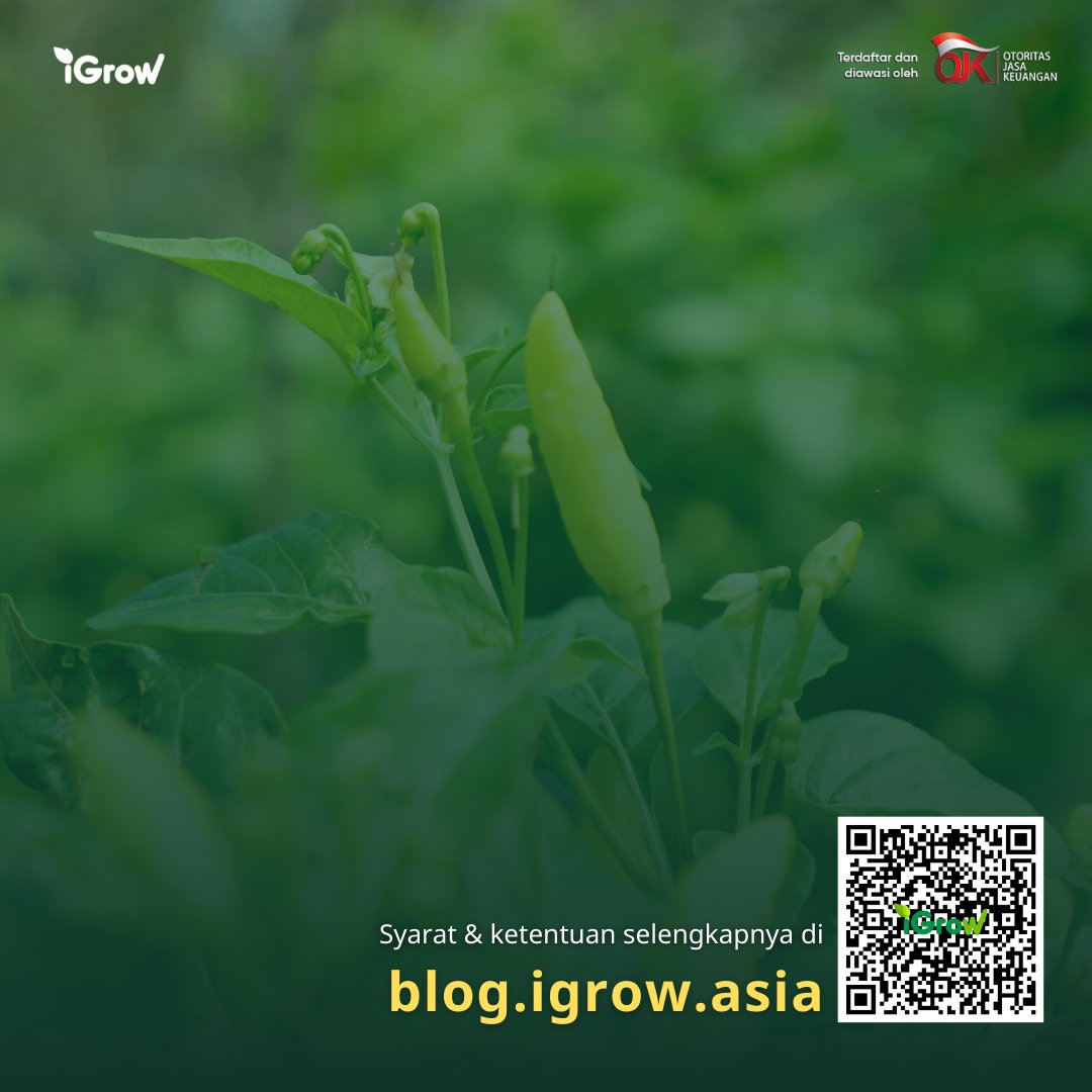 iGrow tweet media