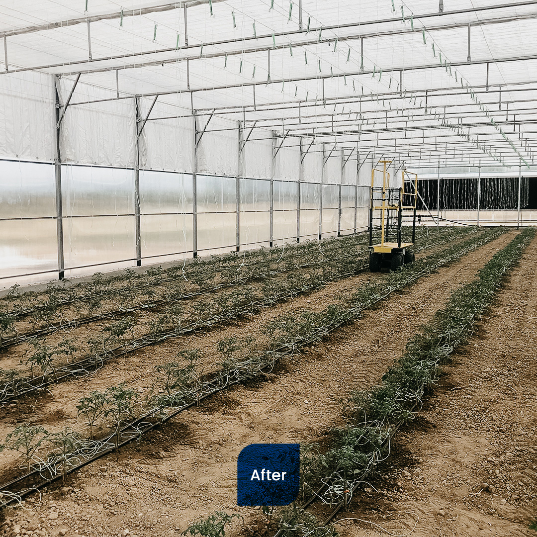 When the best skills come together to get the best results🤝

The before and after ✅of the last #greenhouse  project with our friends #hortitech has been successfully completed in #Greece 📍