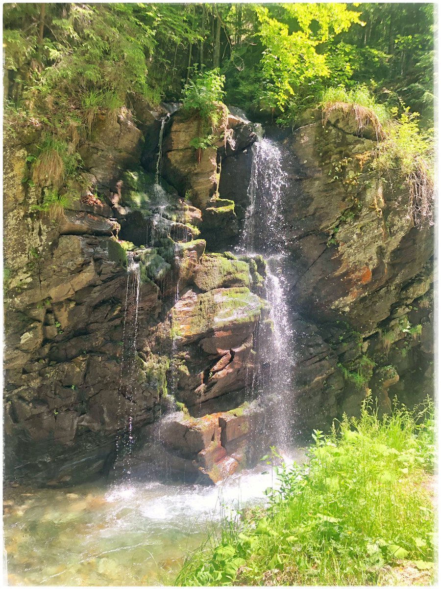 EuropeGenesys's tweet image. Astăzi am vizitat urieșul din #CheileJiețului povestea-locurilor.ro/povestea-vaii și cascadele de lângă el. Dușul pădurarului youtu.be/vC-wlRGb6i4 &amp;amp; cascada JIEȚ youtu.be/dF3eZbutoYg o liniște ancestrală &amp;amp; un drum îndreptat 😉 #povestealocurilor