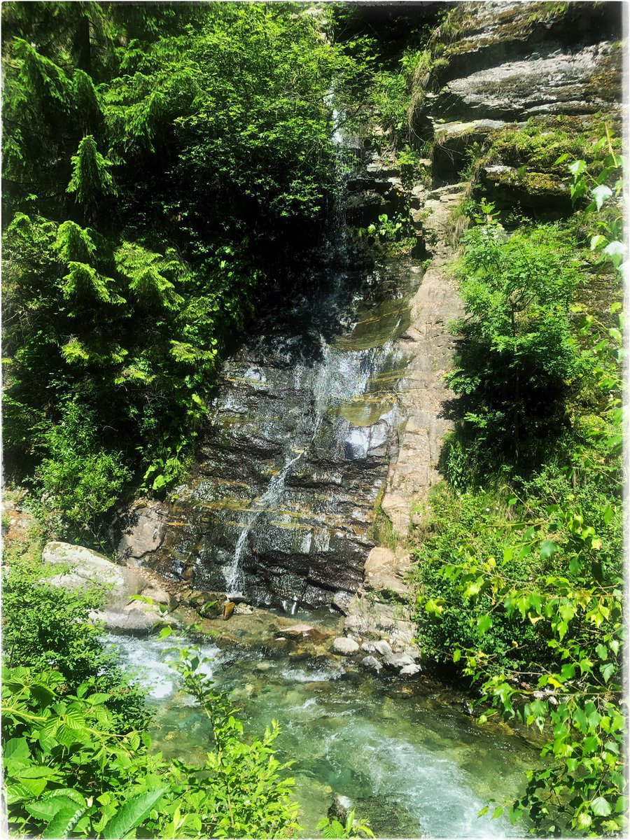 EuropeGenesys's tweet image. Astăzi am vizitat urieșul din #CheileJiețului povestea-locurilor.ro/povestea-vaii și cascadele de lângă el. Dușul pădurarului youtu.be/vC-wlRGb6i4 &amp;amp; cascada JIEȚ youtu.be/dF3eZbutoYg o liniște ancestrală &amp;amp; un drum îndreptat 😉 #povestealocurilor