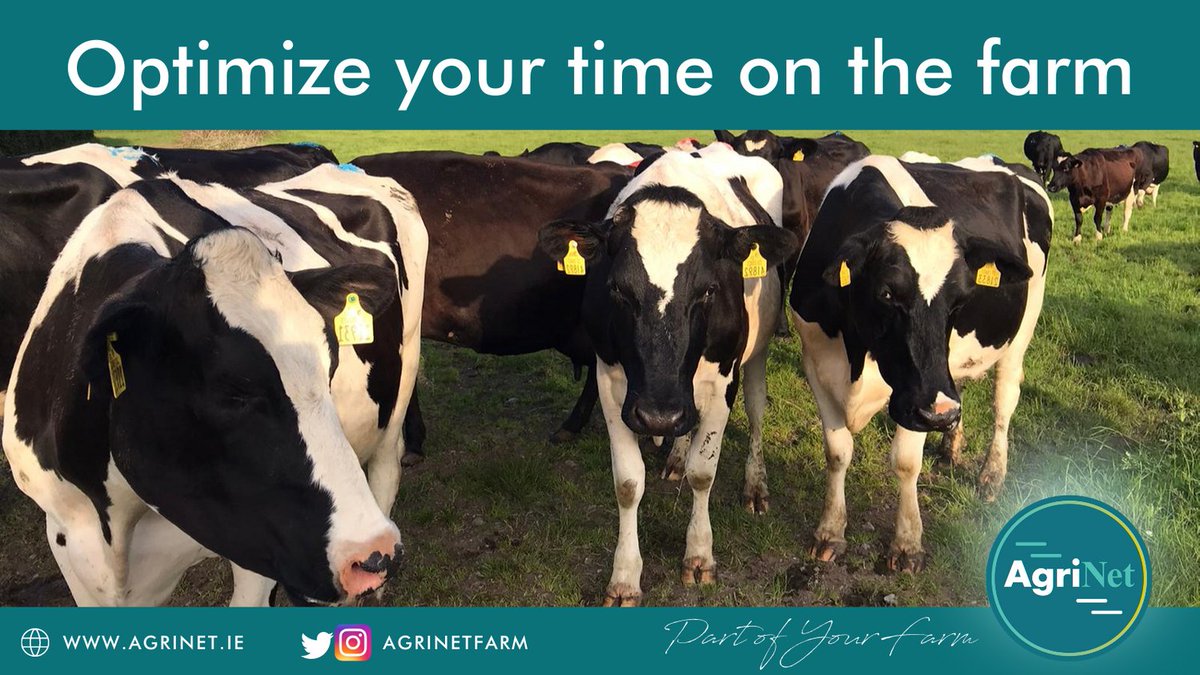 AgriNetFarm's tweet image. Agrinet are here to help! Reach out to use if you'd like to organise a demo of HerdApp for yourself or a group. Visit agrinet.ie #discussiongroups #Macra #FarmBetter #PartofYourFarm