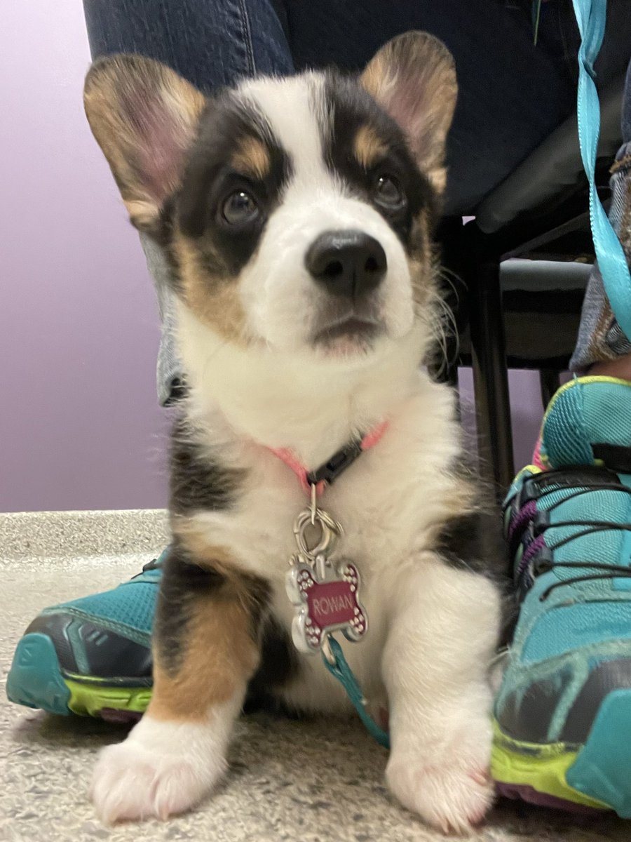 rockonsun tweet media