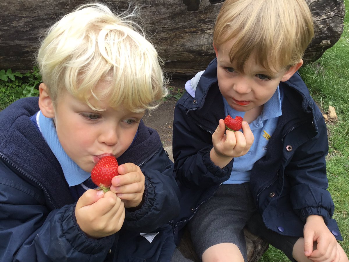stpeters2_8's tweet photo. Some children from Reception went on a trip to ‘Shelia’s Greengrocers’ at the Shambles Market - we found out about fruit from around the world, read labels and prices and estimated our total! John the Greengrocer was so kind and helpful! 😍😍😍 https://t.co/nhYMKwtNFB