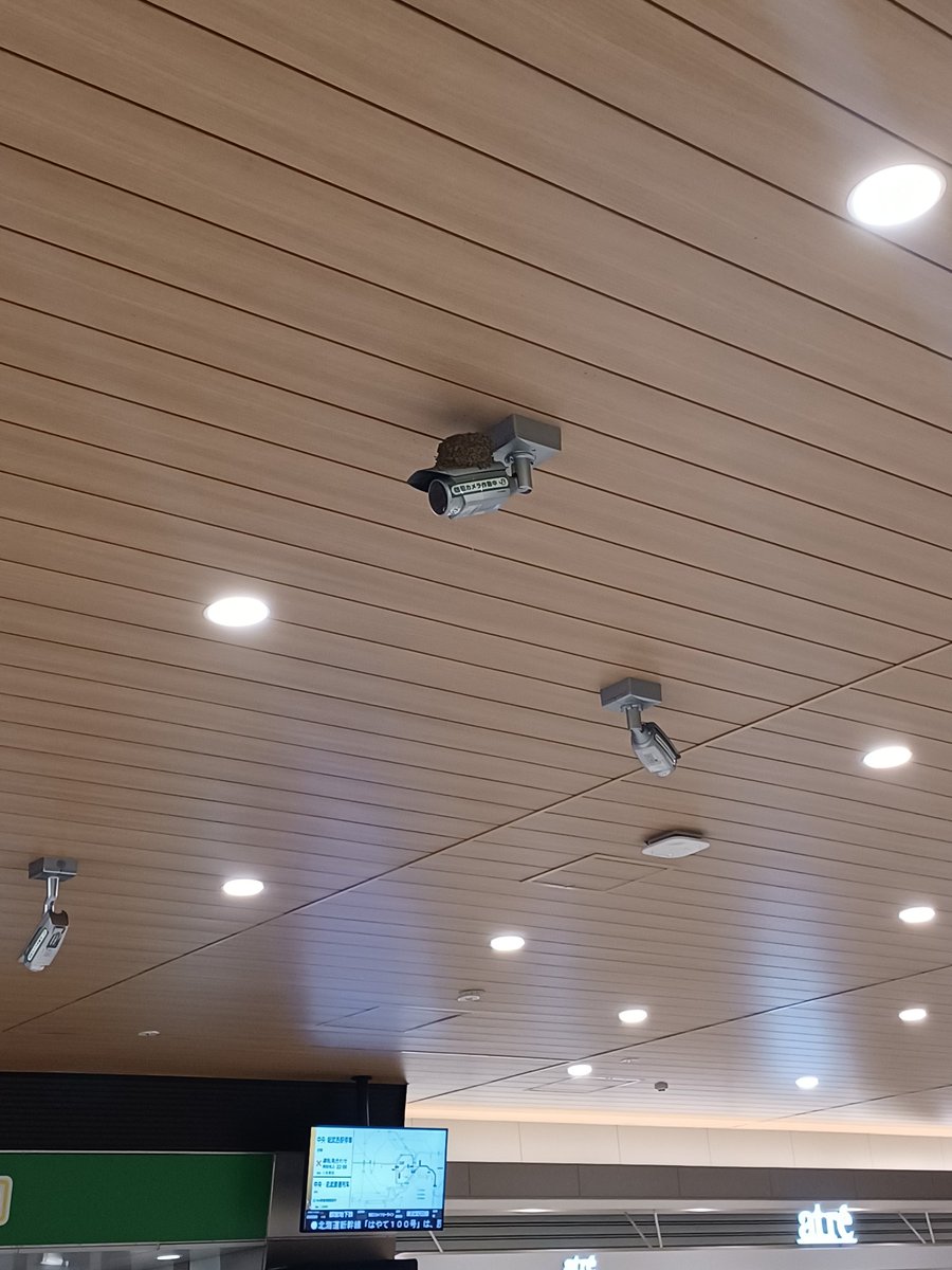 八十川真由野 Mayuno Yaso Twitter