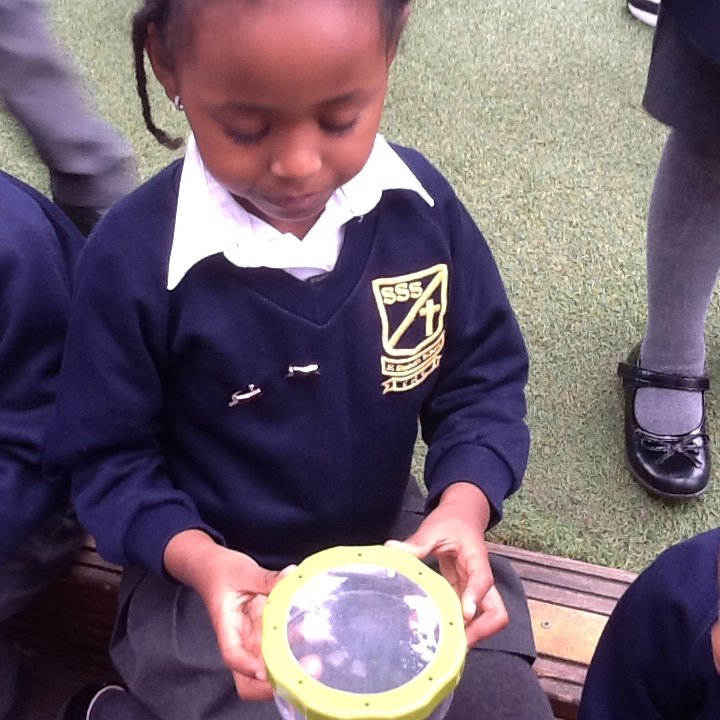 ststephensSW8's tweet photo. Reception were making some curious discoveries in the outdoor learning environment. Can you guess what they found?🦋🔍🔎 @ststephensSW8 #StStephenslearning #StStephensoutdoor #insecthunt #curiousity https://t.co/Yw6XsPYuWC