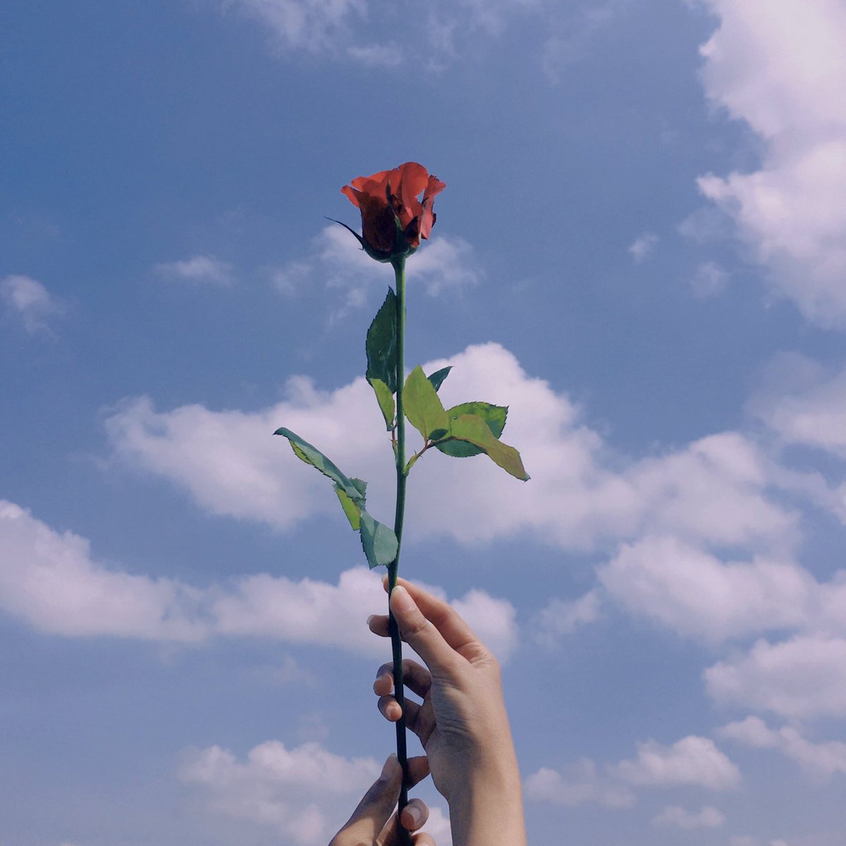 liebetyongie's tweet photo. ───── ･ ｡ﾟ☆: *.☽ .* :☆ﾟ. ─────

     𝙃𝙖𝙥𝙥𝙮 𝘽𝙞𝙧𝙩𝙝𝙙𝙖𝙮 𝙇𝙚𝙚 𝙏𝙖𝙚𝙮𝙤𝙣𝙜

hopefully this year what you want is achieved🥳. thank you for doing your best and you working so hard, be happy and keep your health🥺💗. tyongf will always support you🫂💞 https://t.co/XoKGH3DNCv