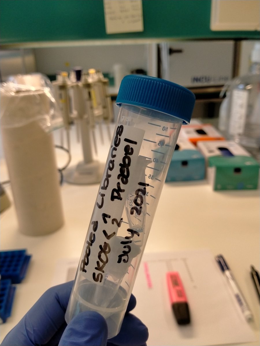 Marta Turon (@mturon_rodrigo) on Twitter photo I can't believe that this is the outcome of 1.5 years of bi-monthly sampling #eDNA !!! Thanks to everyone involved in the project. Just waiting for the sequencing results now <a href="/UiTGenetics/">UiTGenetics</a> <a href="/KPraebel/">Kim Praebel</a> <a href="/owenwangensteen/">Owen S. Wangensteen</a> @julesbitz <a href="/carangpre/">Carlos</a> I can't believe that this is the outcome of 1.5 years of bi-monthly sampling #eDNA !!! Thanks to everyone involved in the project. Just waiting for the sequencing results now <a href="/UiTGenetics/">UiTGenetics</a> <a href="/KPraebel/">Kim Praebel</a> <a href="/owenwangensteen/">Owen S. Wangensteen</a> @julesbitz <a href="/carangpre/">Carlos</a>