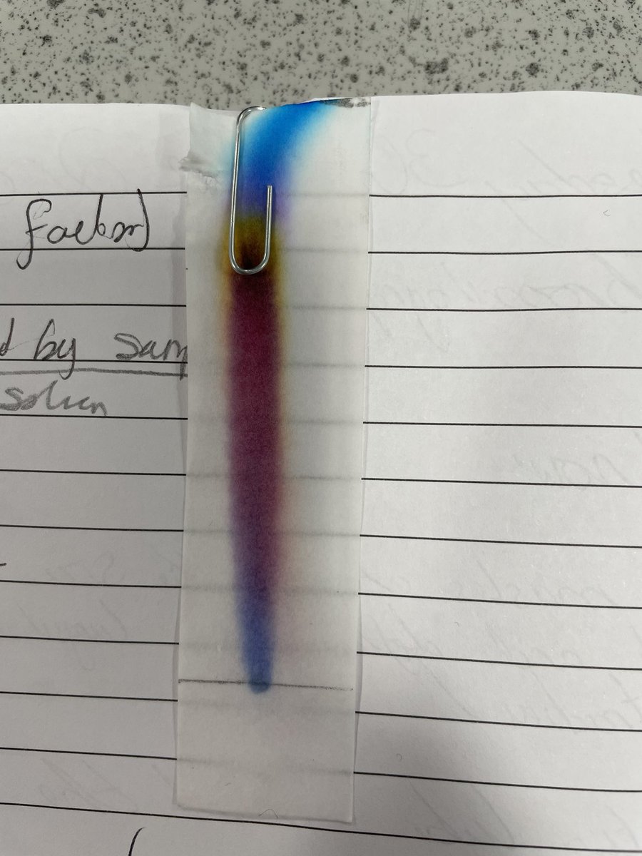 DeanesScience's tweet photo. The chromatograms made by year 9 today came out really well - well done! #year9science https://t.co/v6BvHKCkb8