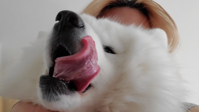 Tongue ?? https://t.co/nxJZ3jPG2Z