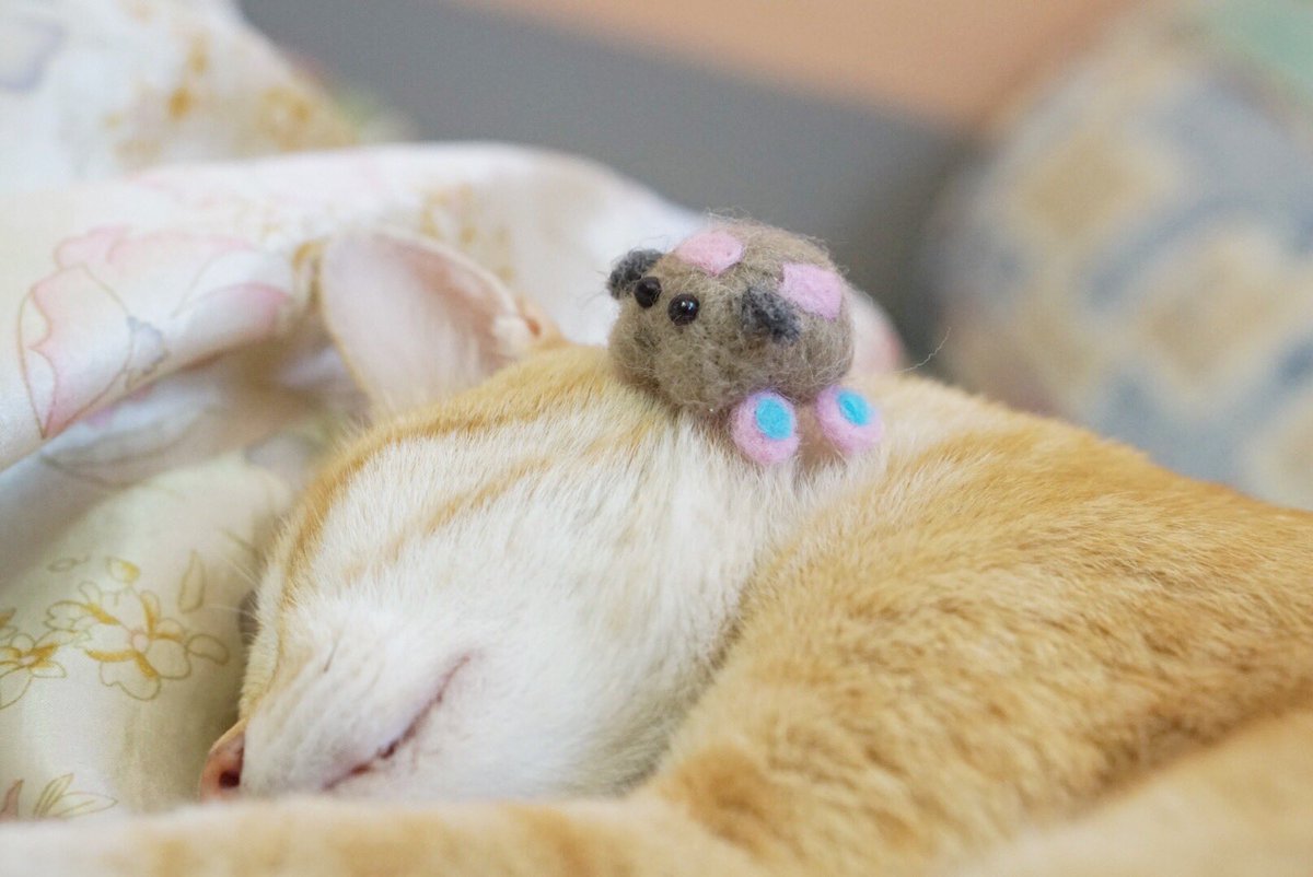 Twoucan 毛羊フェルト の注目ツイート イラスト マンガ コスプレ モデル Twoucan 毛羊フェルト の注目ツイート イラスト マンガ コスプレ モデル