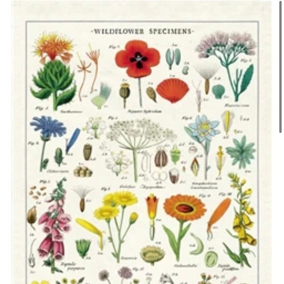 New tea towels up on site🌺🌸