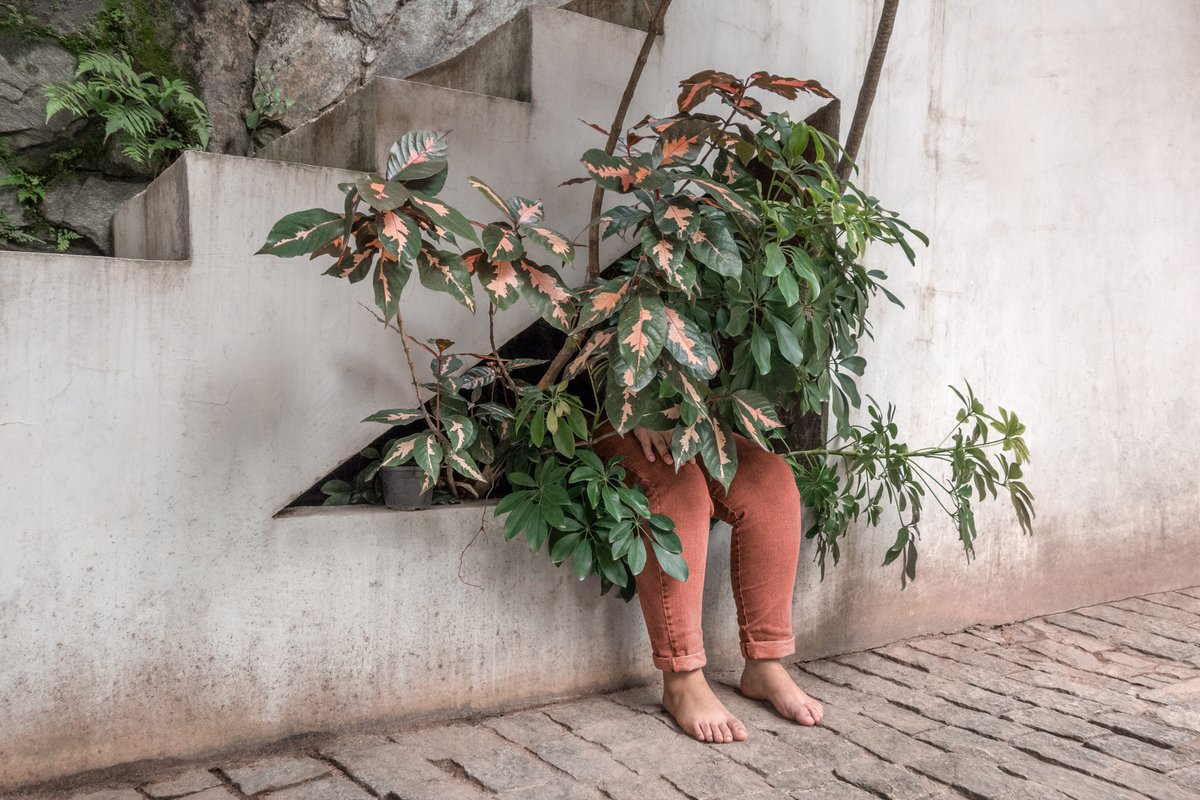 brokedidonato's tweet image. The endless search for quiet places