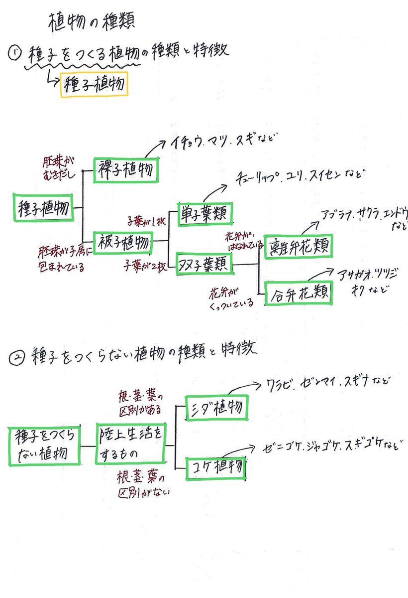 種子植物 Twitter Search Twitter