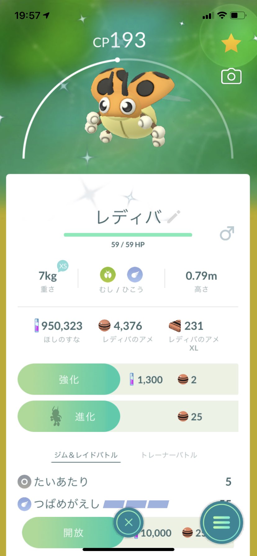 ポラリス ポケモンgo ボールplusが色違いレディバを捕まえてくれてました 2匹目なのでレディアンに進化させてみました ポケモンgo 色違い レディアン レディバ T Co Fas4ul099b Twitter