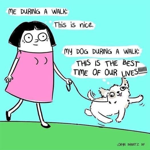 Daily exercise is good for both you and your fur baby