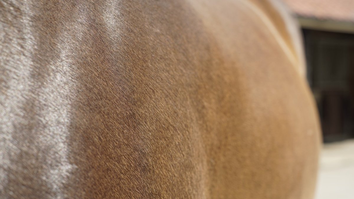 Feedmark tweet media