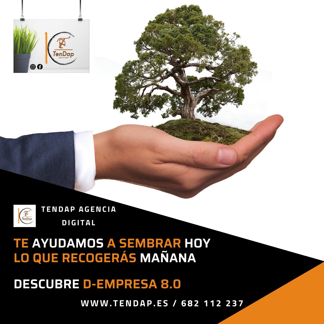 Tendap_es's tweet photo. ¡Nos importas!, por eso hemos diseñado este servicio para ayudarte a alcanzar esas metas que tienes en mente.
@agenciatendap @Tendap_es 
#marketing #marketingdigital #branding #publicidad #seo #publicidadigital #sem #socialmedia #diseñoweb #web https://t.co/iNZlb23jyj