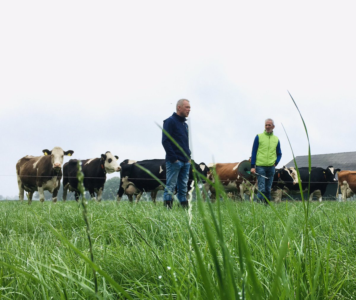 Leuke training Weidecoaches ter voorbereiding op landelijk project #gripopgras Over de gunstige invloed van weidegang en meer vers gras op economie, ammoniak en methaan. Gastvrij bedrijf met mooie koeien <a href="/GeertStevens79/">Geert Stevens</a> 🐄☘️🇱🇺 <a href="/BertPhilipsen/">Bert Philipsen</a> <a href="/De_Weideman/">De Weideman</a> <a href="/KoeienKansen/">Koeien&Kansen</a> #melkvee